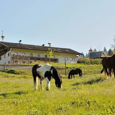 Familie Sponring - Maxnhagerhof * ווירברג