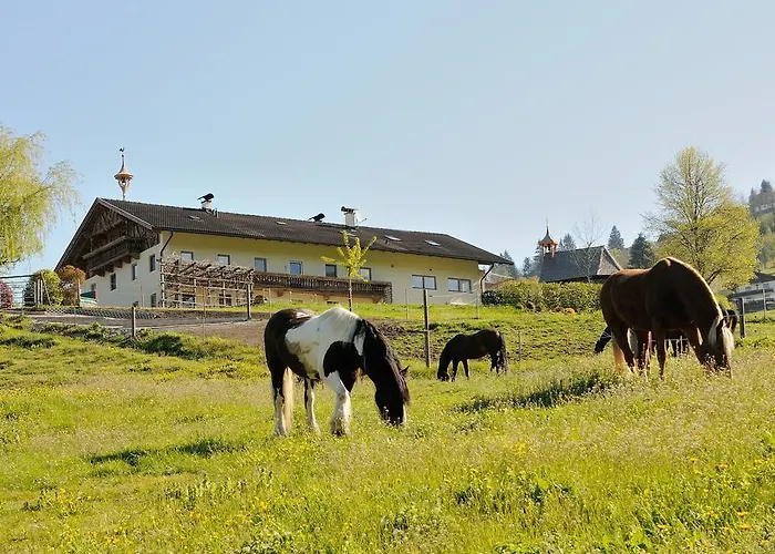 Familie Sponring - Maxnhagerhof * Weerberg